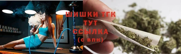 молекула духа Гусиноозёрск