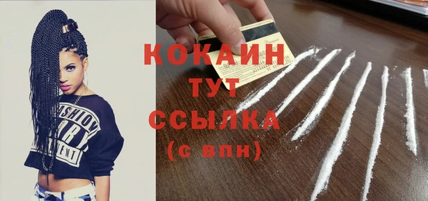 молекула духа Гусиноозёрск