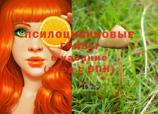 молекула духа Гусиноозёрск